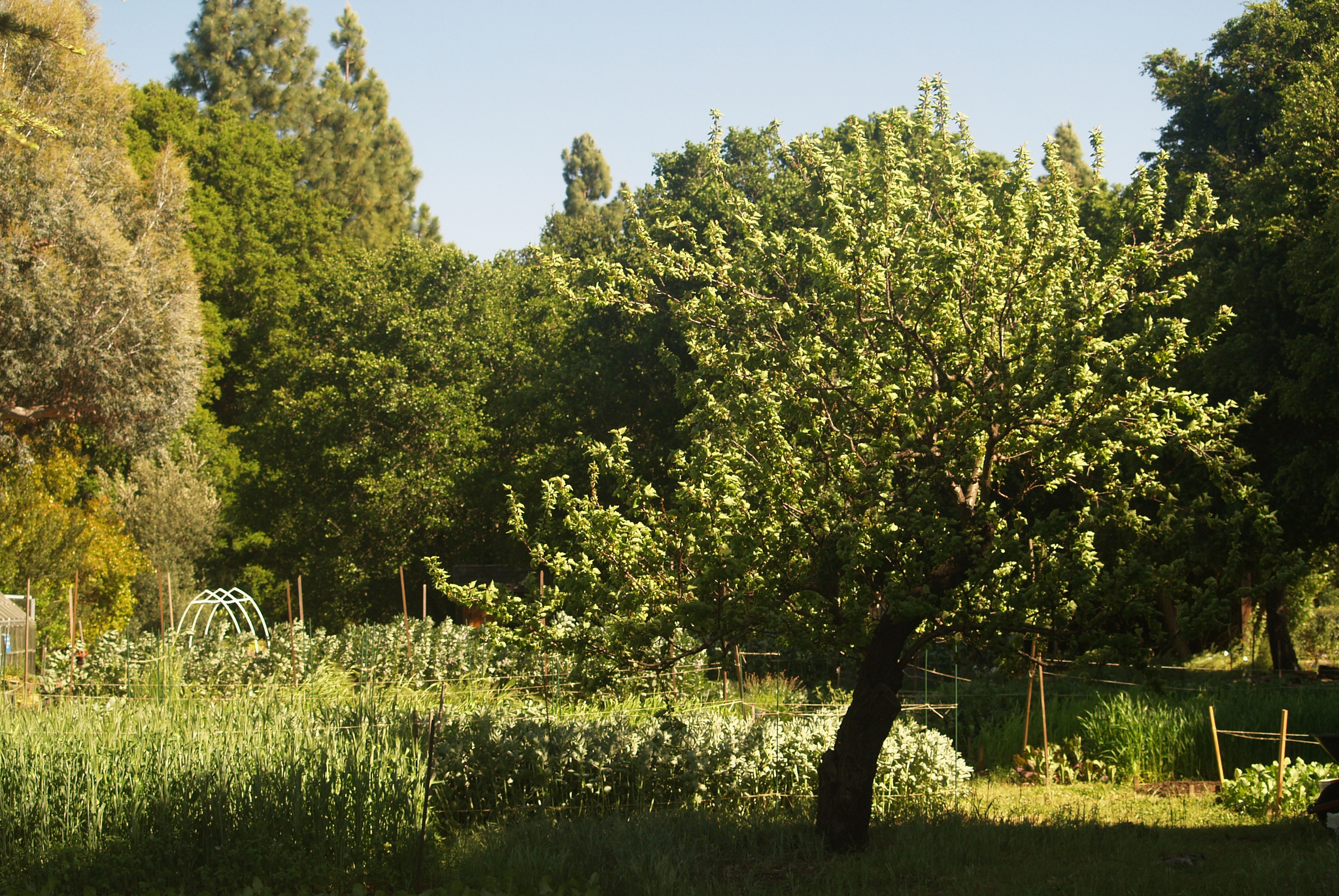 The Common Ground Garden is a sanctuary in the city